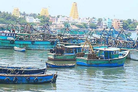 A fleet of mechanised fishing boats remain anchored  at Rameswaram