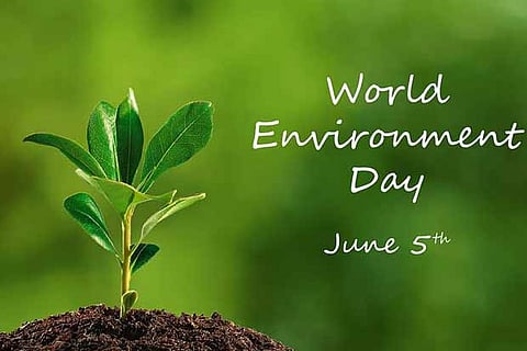 Environment day: City focuses on reducing air pollution at home