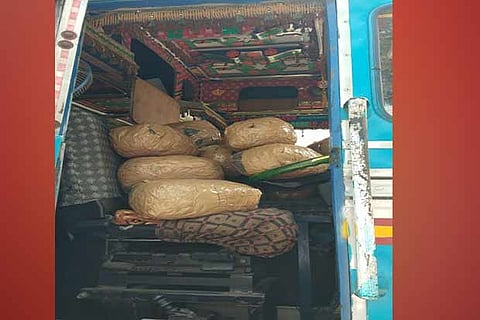 Bags of ganja seized