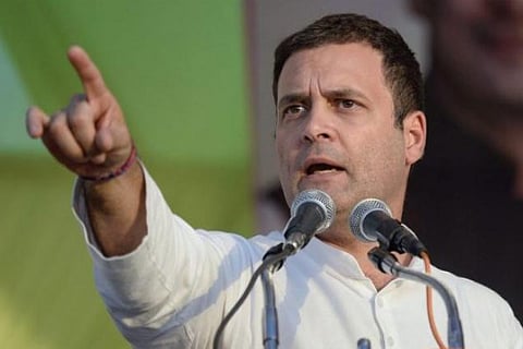 Rahul calls for making environmental degradation a political issue