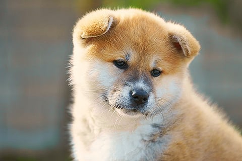 Life’s lessons: Physical handicap has no impact on personal worth