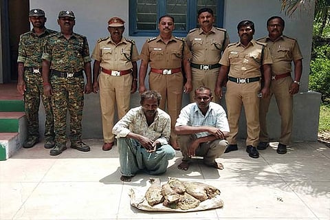 The two persons who were fined for poaching wild boar by placing country bombs