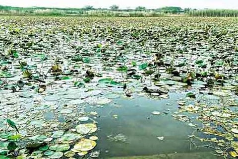 Villagers in Ramanathapuram fill pond from broken drinking water pipe