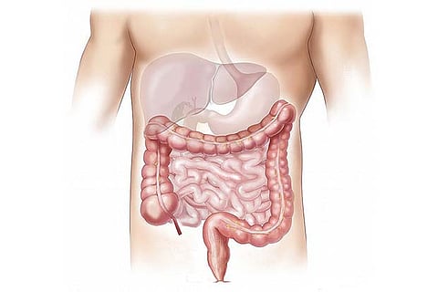 Lifestyle-related liver diseases a rising epidemic