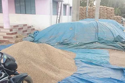 Paddy procured in Thanjavur DPC awaits weighing process