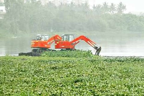 Representative Image