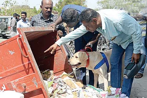 Bomb squad sleuths along with a sniffer dog empty and search a garbage bin near the Collector's office