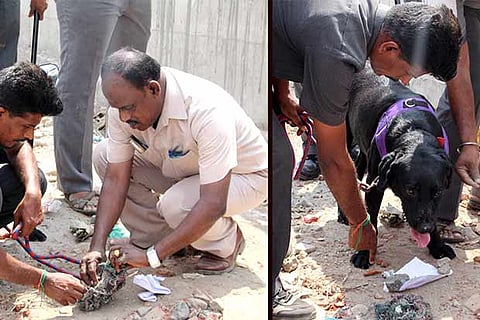 Country bomb explodes near Madurai rly track, none hurt