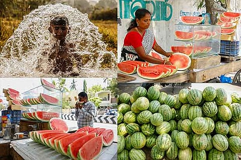 Juicy melons to beat the heat? Be wary of chemical cocktails in seasonal fruits