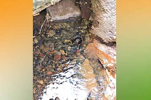 Water from the busted supply line leaking into the local drain near South Avenue Road in Vellore
