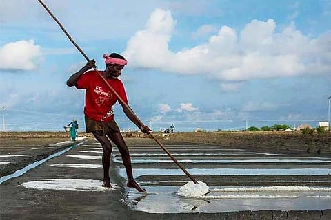 A labourer at one of the salt pans in Tamil Nadu (Photo credit: Parivel Vedharanyam)