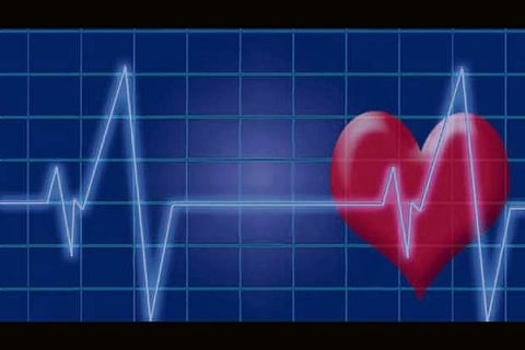 Heart disease risks in overweight, obese kids similar