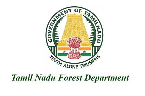 Scare ends as tiger retreats into forest