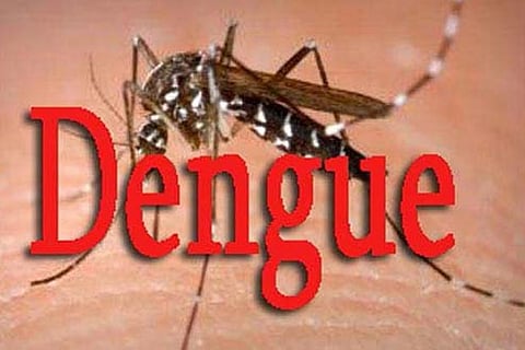Two-year-old baby dies of dengue in Kumbakonam