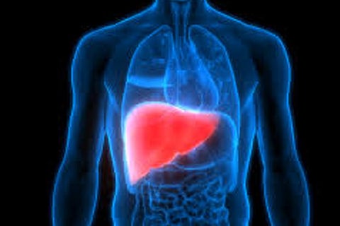 Girl donates part of liver to save father