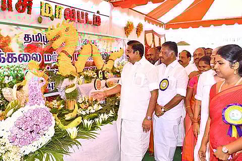 CM and Deputy CM inspect flower and fruits arrangements on the occasion of Tenkasi district formation