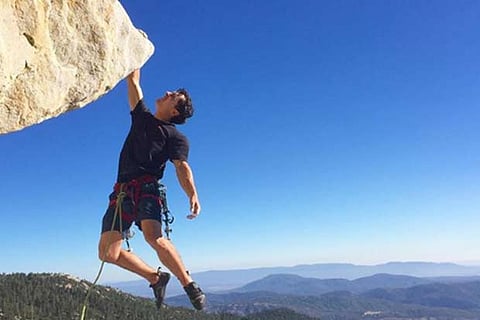 Picture Credit: Bradgobright Instagram