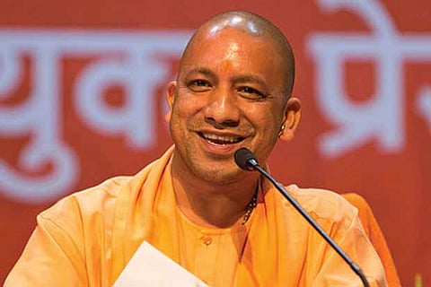 Yogi government puts up stray cows for adoption
