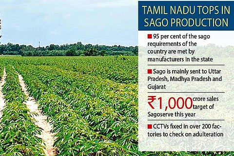 Sago through PDS: Farmers upbeat