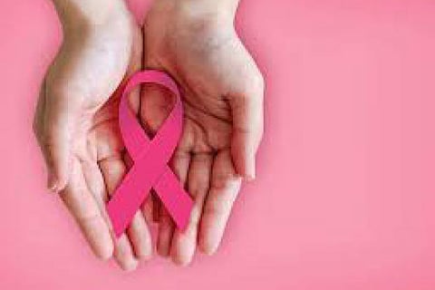 Eat fiber-rich food daily to cut breast cancer risk