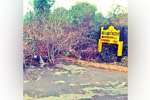 Road to a village panchayat on Jawadhu hills has been blocked with bushes