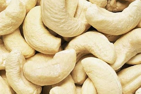 Lockdown: Cashew industry cries for help from govt