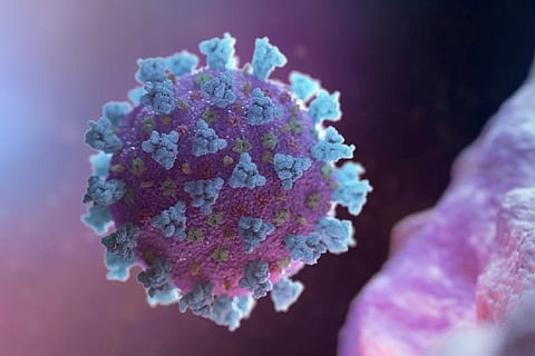 Image Courtesy: Reuters