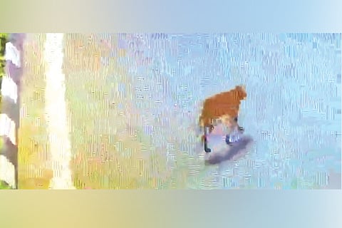 Video grab of the wildcat which was seen on GST Road