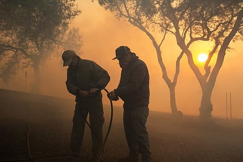 Picture Credit: IANS twitter profile