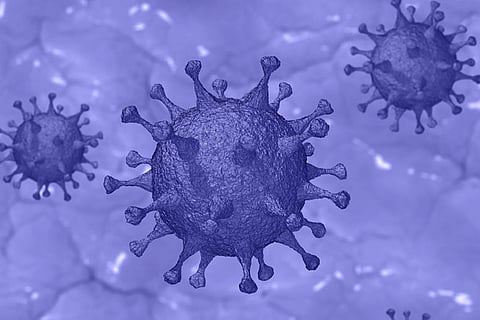 Patients with neuromuscular disease at high risk of severe COVID-19: Study