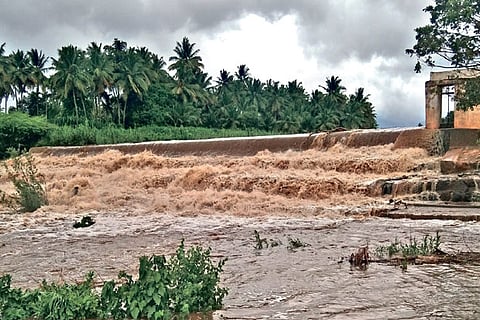 Noyyal river in spate following heavy rains in Coimbatore district and Western Ghats region