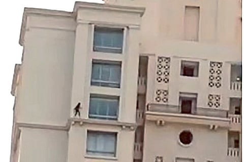 Screen grab of the girl risking her life