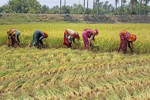 Farmers demand CBI probe into PMKSNY scam