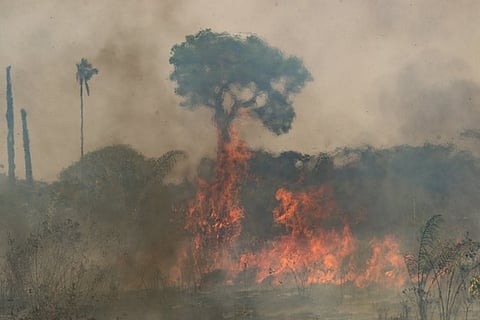 Flames travel along the floor of a field near Novo Progresso, Para state, Brazil