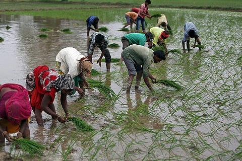 India faces protracted slowdown as virus clouds rural revival