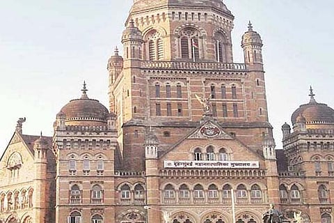 COVID-19: Study to find effectiveness of BCG vaccine in elders