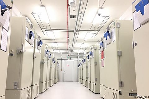 Journey of a vaccine: From the research lab to your doorstep