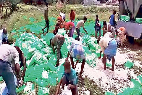 Egg-laden lorry overturns near Ambur, driver lets villagers take intact pieces