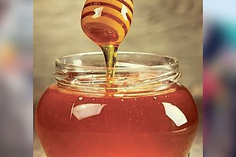Honey sold by major brands adulterated by sugar syrup: CSE