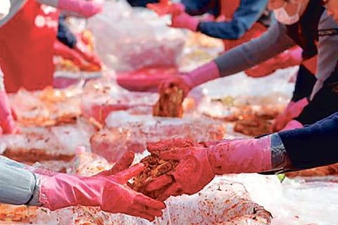 Koreans miffed over China trying to ‘kidnap’ kimchi