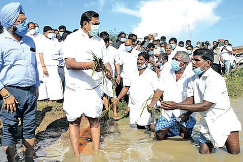 Chief Minister assessing damage to crops in Cuddalore district on Tuesday
