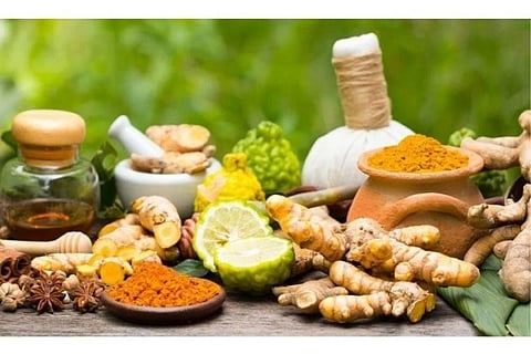 Allopathy Doctors Withdraw Normal Services For 12-Hours in Tamil Nadu