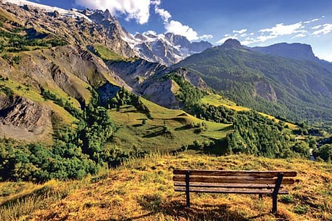 Point of Reconnection: Europe’s parks brace for footfall surge from nature lovers