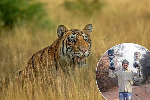 Picture of a tiger clicked by Navaneeth Krishnan