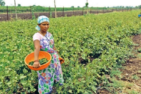 FARMERS’ AGITATION: Protests to dislodge India’ economic health