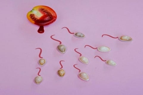 Image Courtesy : IANS