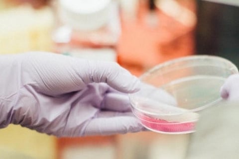 Image Courtesy : IANS