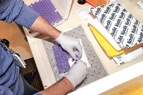 Resetting the reputation of pharma sector