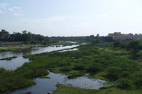 File photo of Adyar River