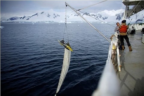 Source: Reuters; The last untouched continent reports Covid-19 cases